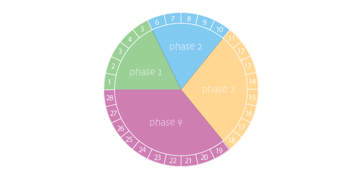 phase 1 phase 2 phase 3 phase 4